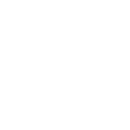 Revenue icon